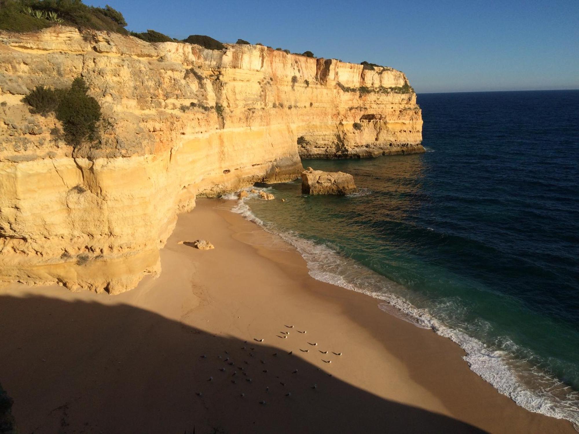 Eber: Poolside Near Old Town * Albufeira