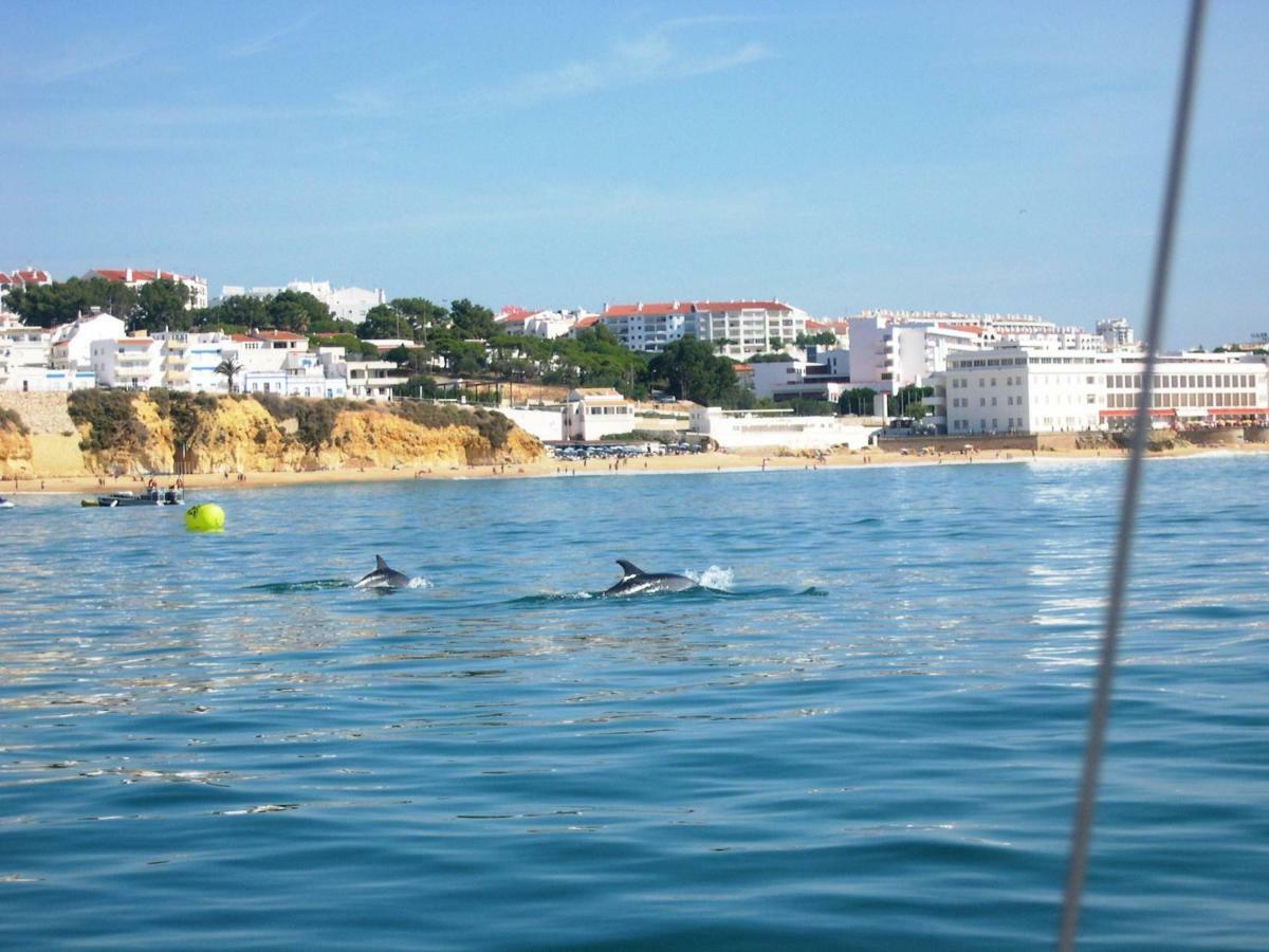 Eber: Poolside Near Old Town * Albufeira
